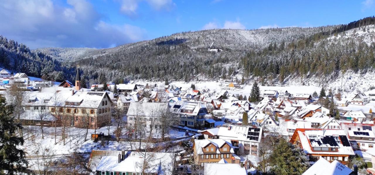 Ferienwohnung Tannenballett Im Schwarzwald Baiersbronn Eksteriør billede