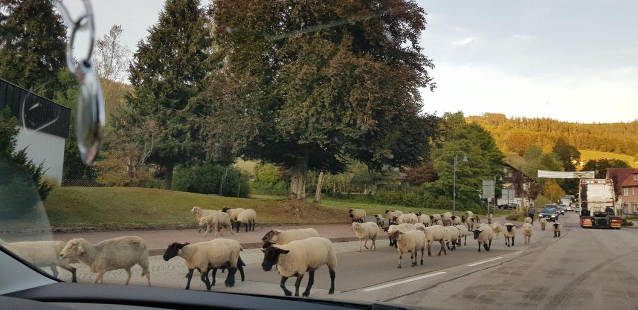Ferienwohnung Tannenballett Im Schwarzwald Baiersbronn Eksteriør billede