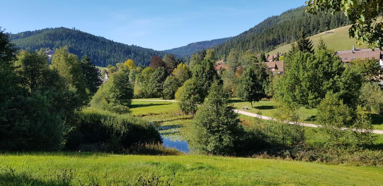 Ferienwohnung Tannenballett Im Schwarzwald Baiersbronn Eksteriør billede