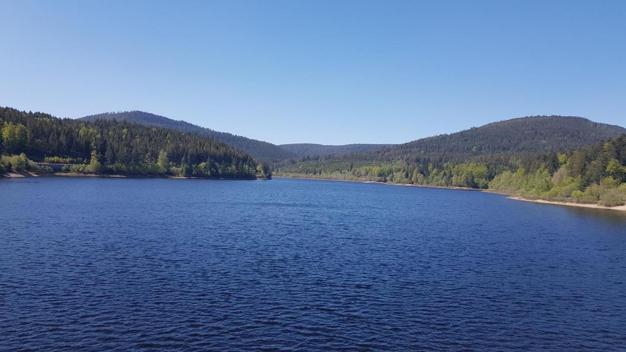 Ferienwohnung Tannenballett Im Schwarzwald Baiersbronn Eksteriør billede