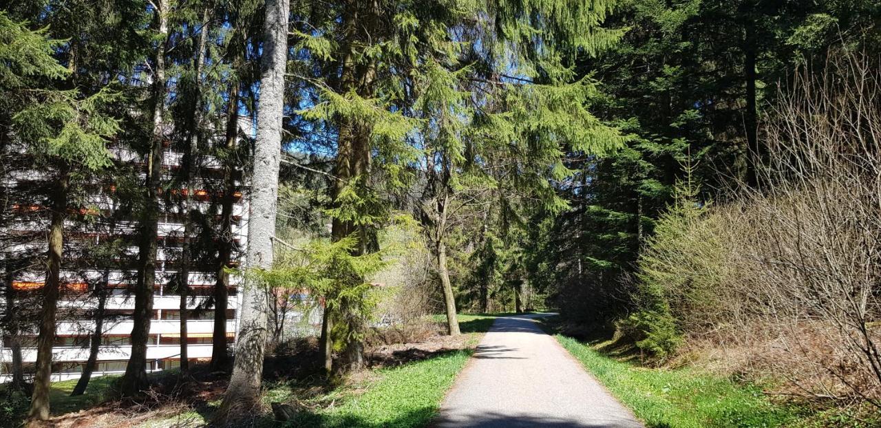 Ferienwohnung Tannenballett Im Schwarzwald Baiersbronn Eksteriør billede