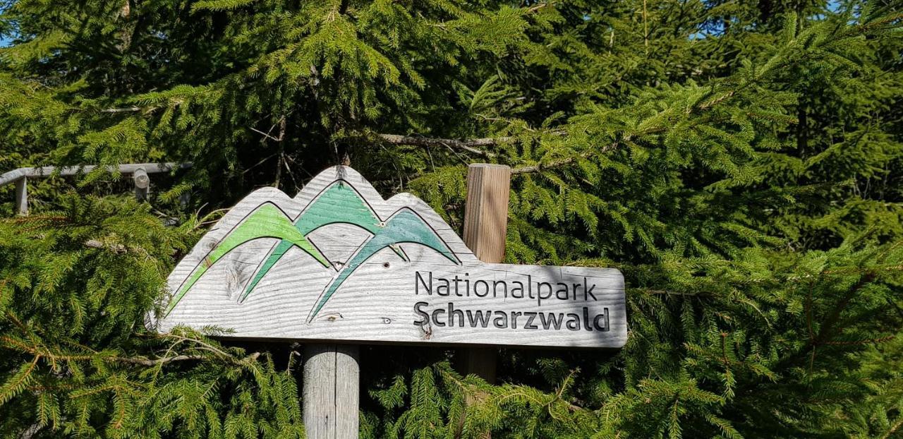 Ferienwohnung Tannenballett Im Schwarzwald Baiersbronn Eksteriør billede