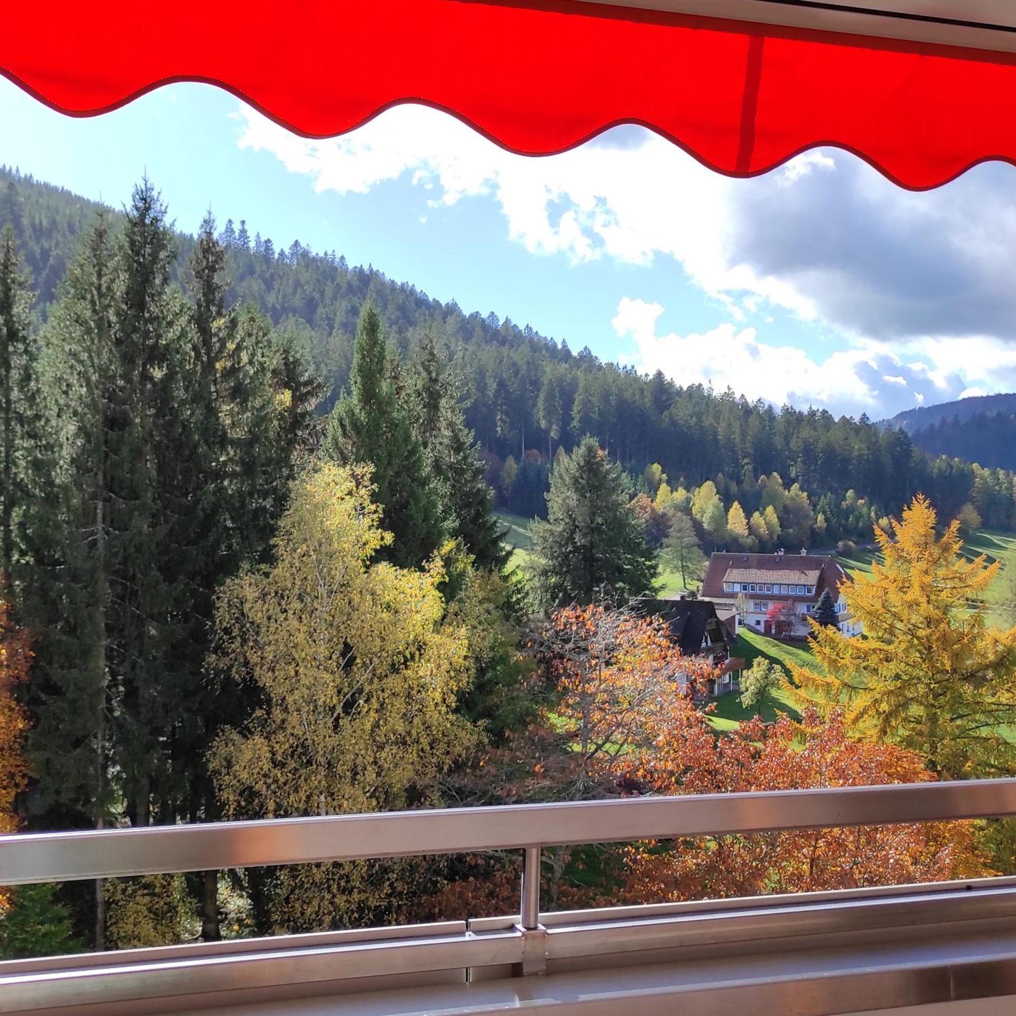 Ferienwohnung Tannenballett Im Schwarzwald Baiersbronn Eksteriør billede