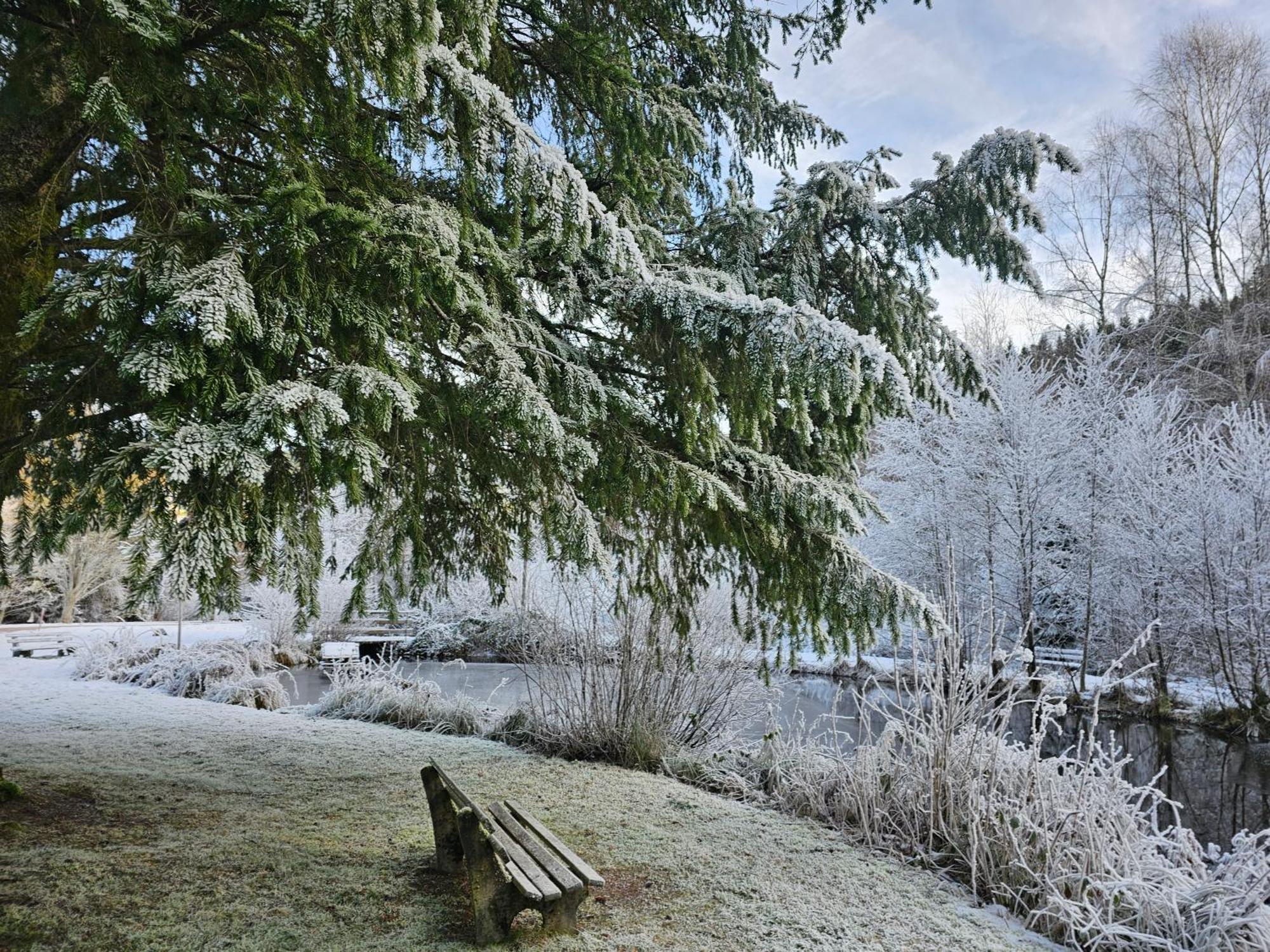Ferienwohnung Tannenballett Im Schwarzwald Baiersbronn Eksteriør billede